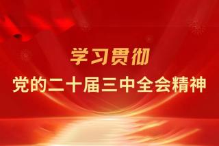 深化教育綜合改革（學(xué)習(xí)貫徹黨的二十屆三中全會精神）