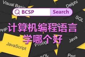 計(jì)算機(jī)編程語(yǔ)言學(xué)哪個(gè)好