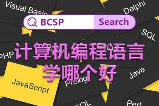 計(jì)算機(jī)編程語言學(xué)哪個(gè)好